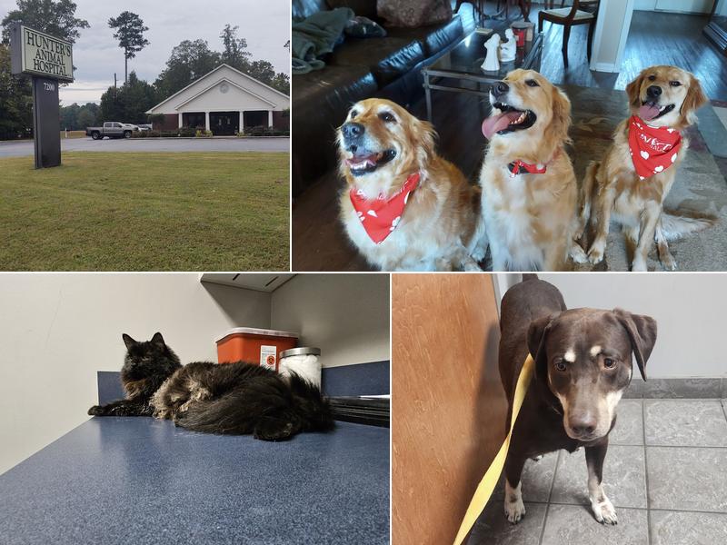 Hunters Animal Hospital PA