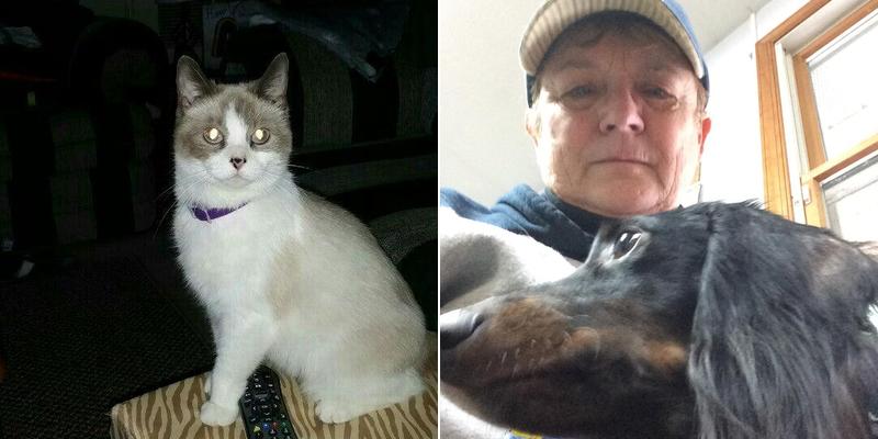 A Call Away Small Animal House