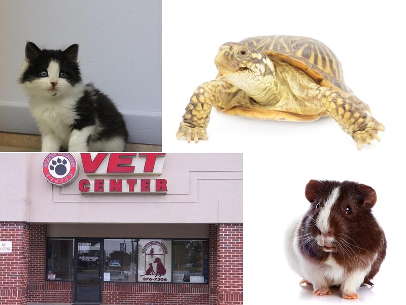 John H. Weiher, Jr. V.M.D.