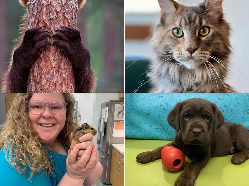 Crossover Veterinary Clinic: Stropes Beth DVM