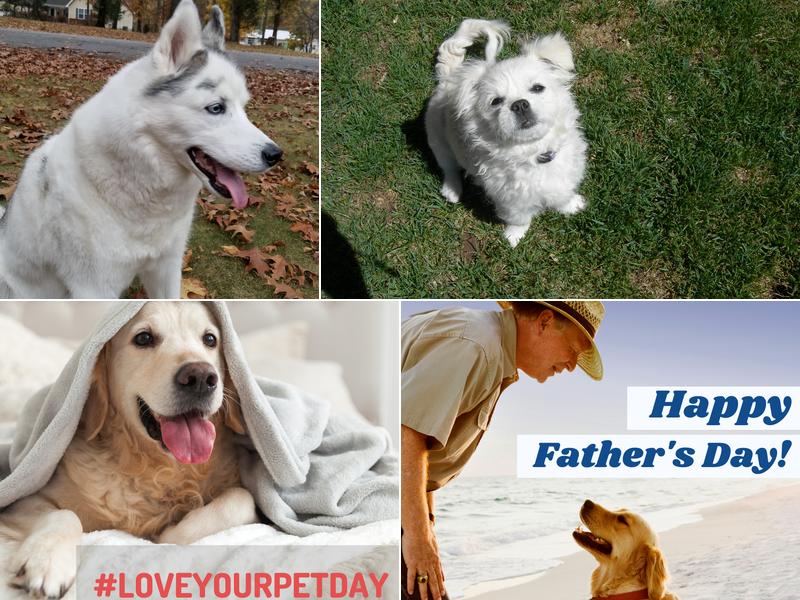 Hancock Veterinary Services of Bella Vista