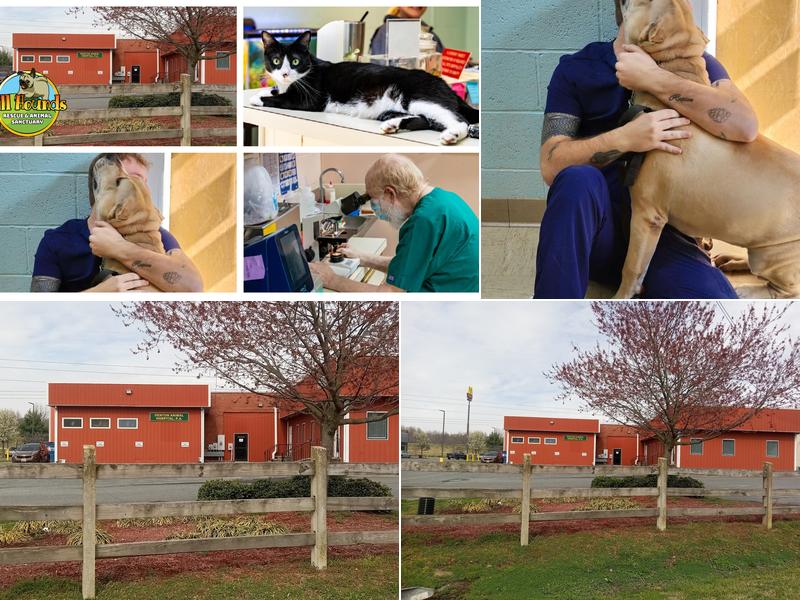 Denton Animal Hospital