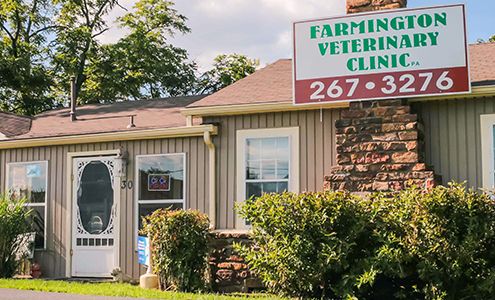 Farmington Veterinary Clinic, A Thrive Pet Healthcare Partner 30 W Main St, Farmington Arkansas 72730