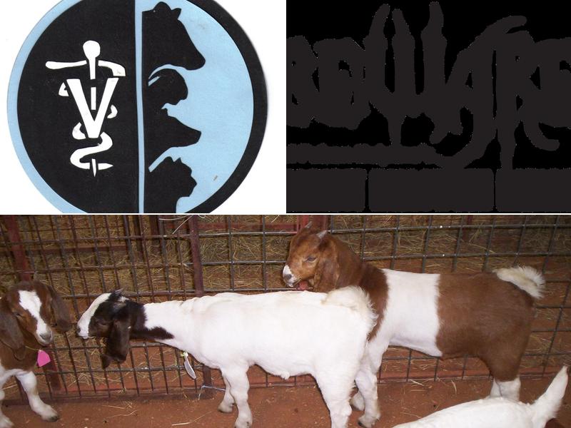 H-Bar-H Veterinary Hospital