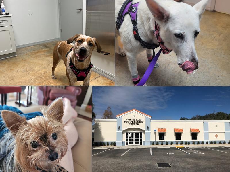Trinity Oaks Pet Wellness Center