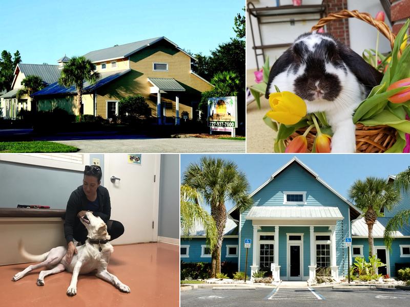 Saint Francis Pet Care Center