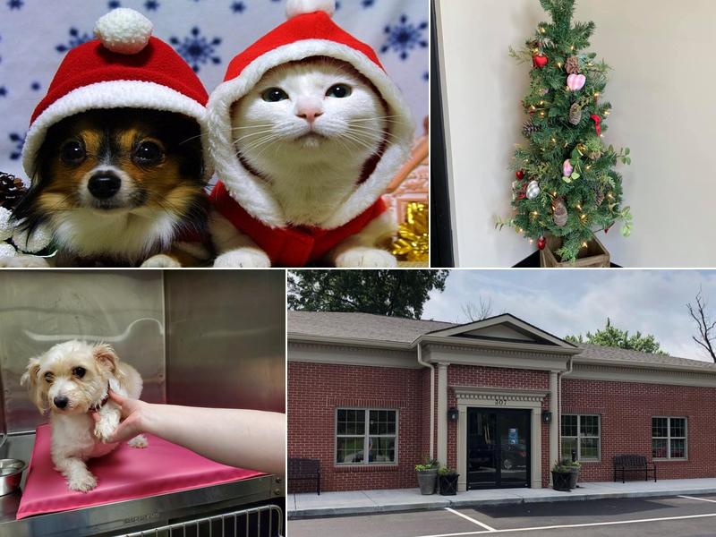 Pewee Valley Veterinary Center