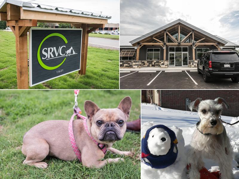 SRVC: Shackleford Road Veterinary Clinic