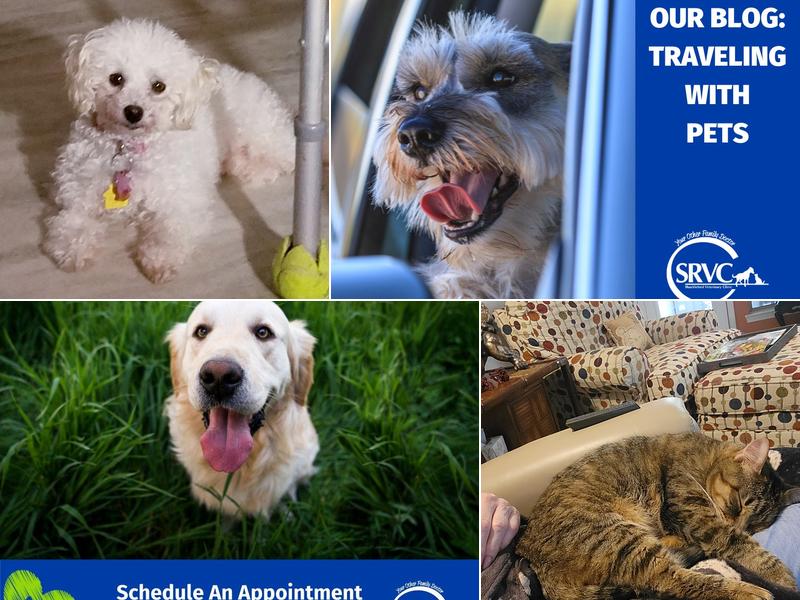 Shackleford Veterinary Clinic: Dr. Brian Barron, DVM