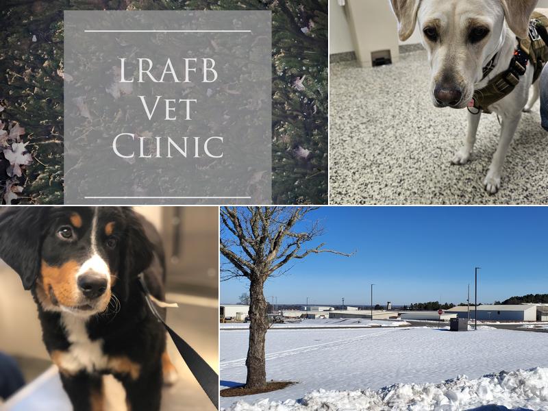 Little Rock Air Force Base Veterinary Clinic