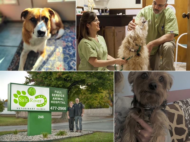 Salt River Veterinary Clinic