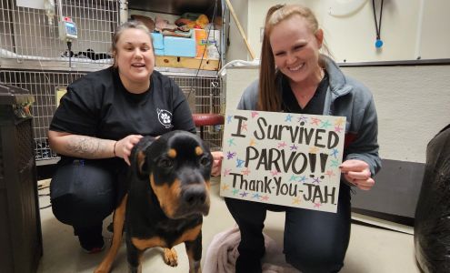 Jefferson Animal Hospital & Regional Emergency Center