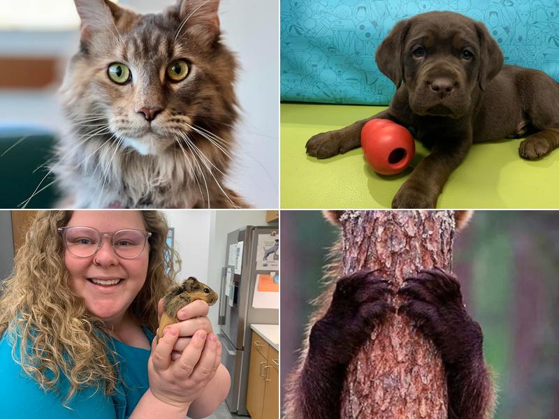 Crossover Veterinary Clinic: Hantz Sarah DVM