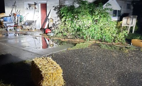 Kauer Veterinary Services Rexburg