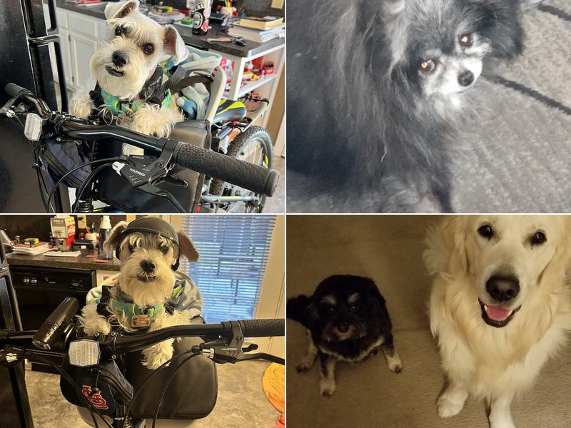 Labahn Veterinary Hospital: Adkins Cheryl DVM