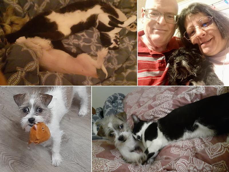 Remer Veterinary Hospital