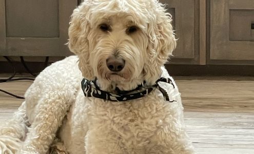 Cornerstone Veterinary Clinic