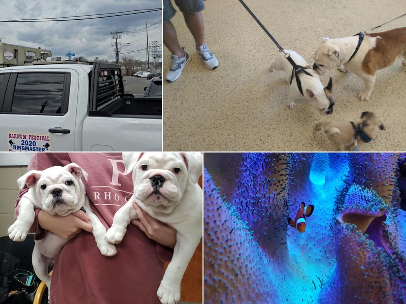 Ash Creek Animal Hospital & Spa