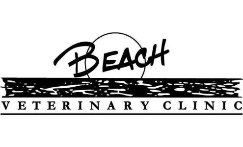 Beach Veterinary Clinic: Rice Kelly DVM