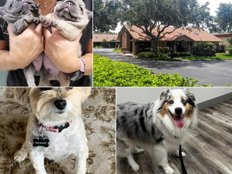 Westlake Animal Hospital