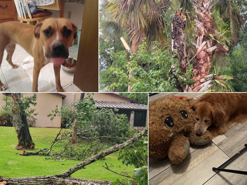 Tarpon Woods Veterinary Medical Center