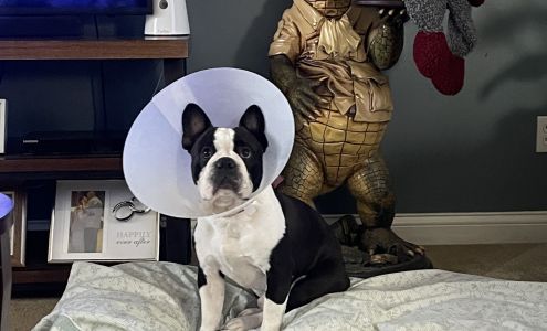 Jackson County Animal Clinic Seymour