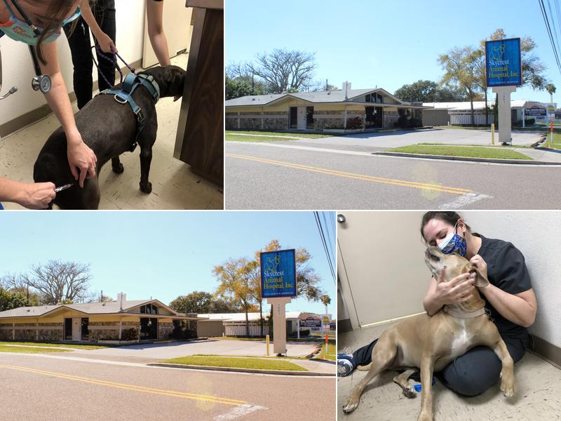 Skycrest Animal Hospital