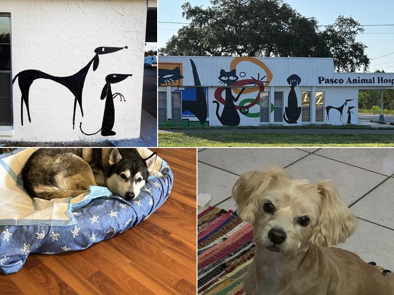 Pasco Animal Hospital