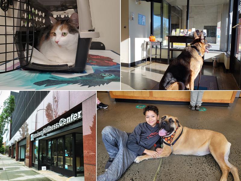 Veterinary Wellness Center of New Haven