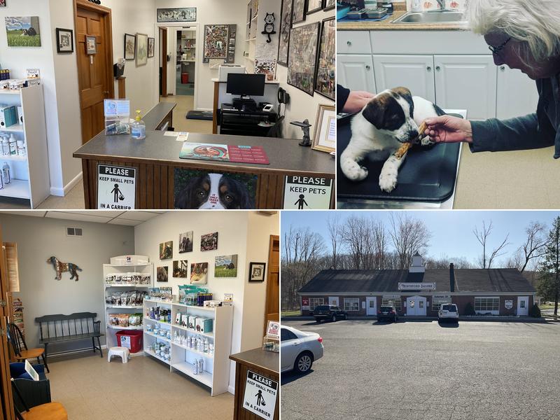 Northford Veterinary Clinic
