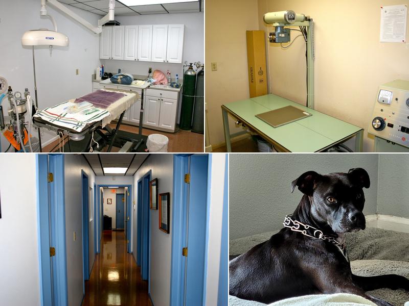 Sunset Veterinary Surgery