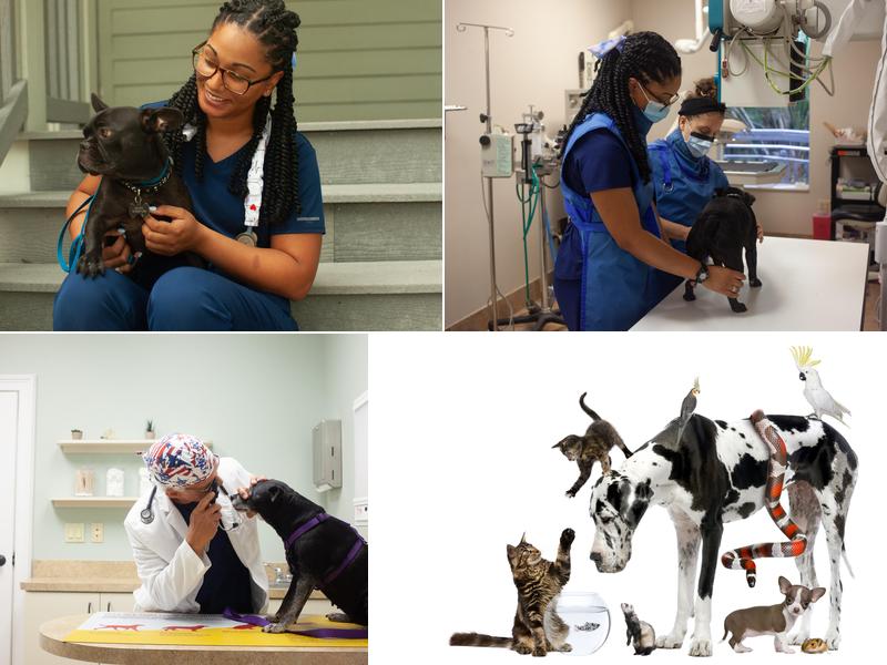 CountryChase Veterinary Hospital