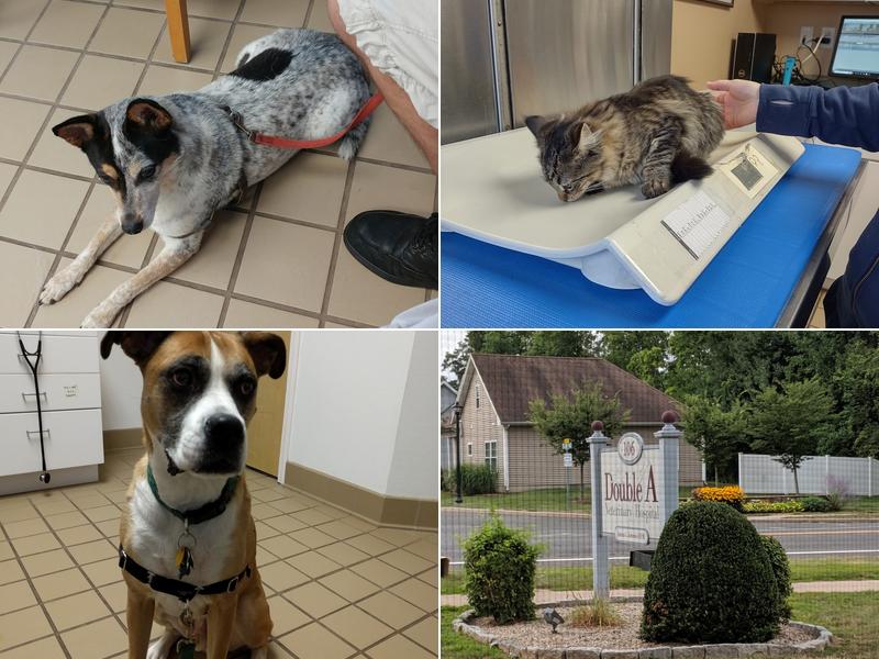 Double A Veterinary Hospital