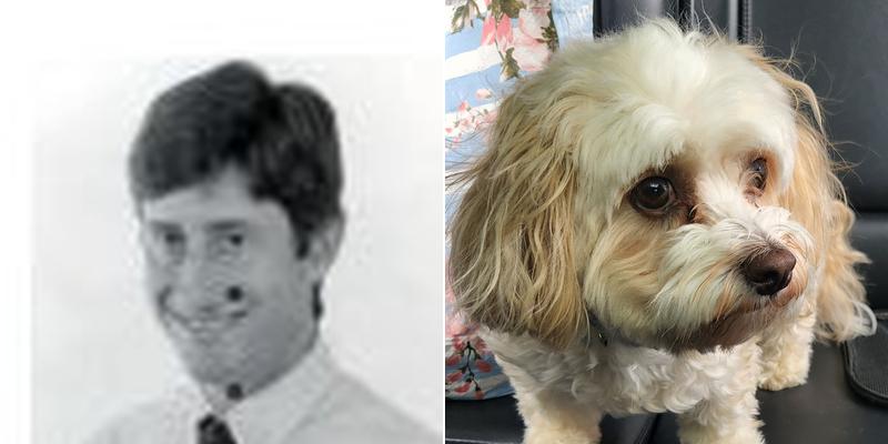 Avon Veterinary Clinic: Morganti Thomas D DVM