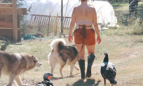 North Palouse Veterinary Clinic: Carnahan Shari DVM Potlatch