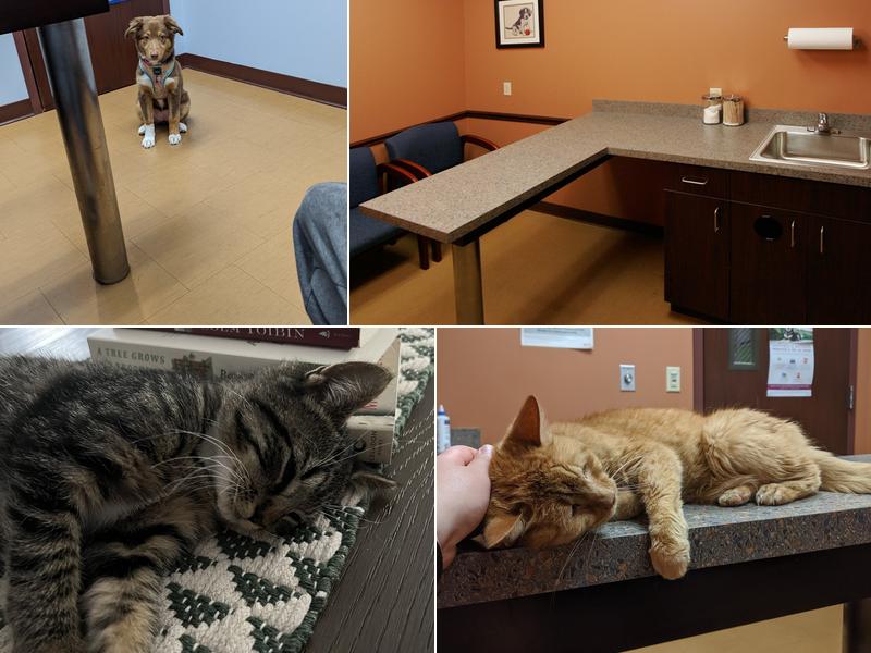 Compassionate Care Veterinary Hospital