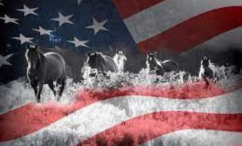 Egland Nick E DVM Lewiston