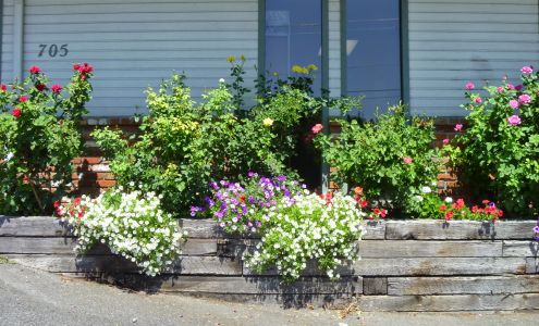 Southway Animal Clinic Lewiston