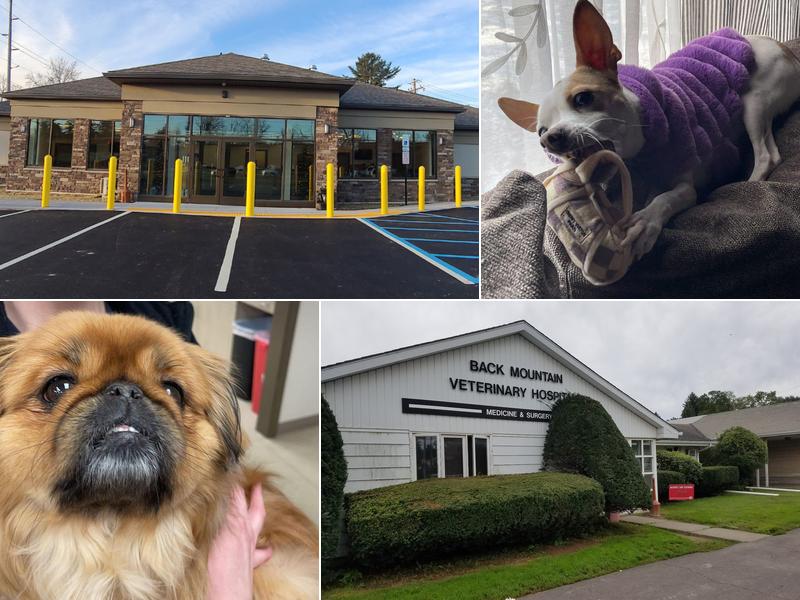 Back Mountain Veterinary Hospital