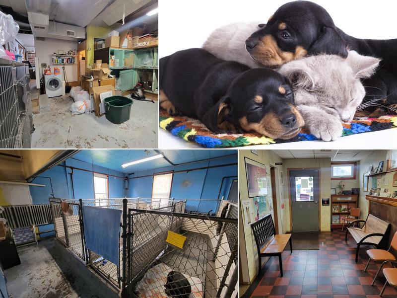 West Hazleton Veterinary Hospital