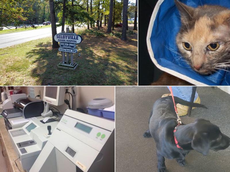 Crossroads Veterinary Clinic/Selbyville Animal Hospital