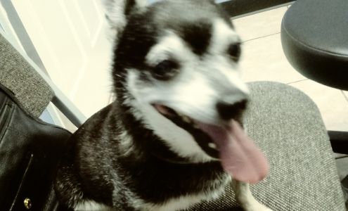 Baycrest Veterinary Hospital 2228 Dr M.L.K. Jr St N, St. Petersburg Florida 33704