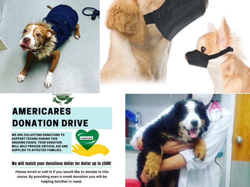 Dupont Veterinary Clinic: Hollis Margaret DVM