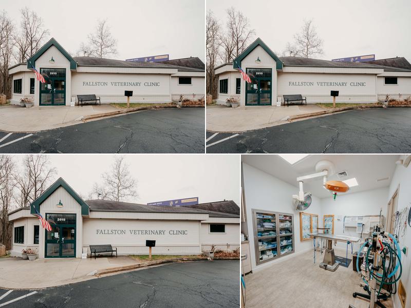 Fallston Veterinary Clinic