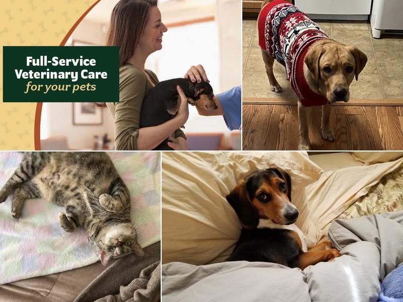 Hometown Veterinary Clinic