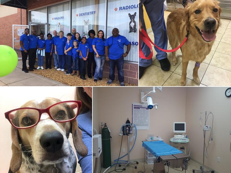 Croydon Pet Hospital