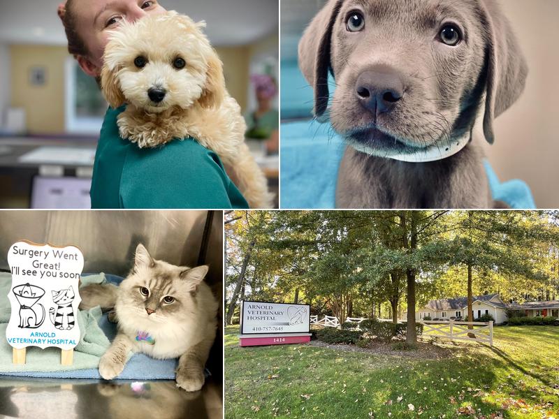 Arnold Veterinary Hospital