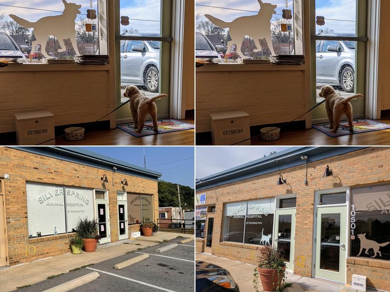 Silver Spring Animal Hospital