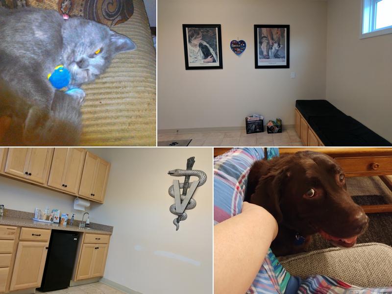 Edgewood Veterinary Hospital