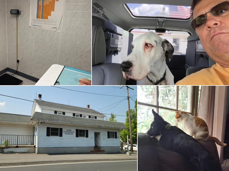 Fork Veterinary Hospital, Inc.